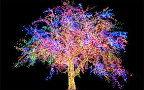 Image result for magic
