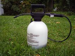 Image result for pest control pictures