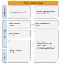 Evaluation of YouTube Videos for Patient Education on Coronary Artery Disease: A DISCERN-Based Analysis - 1