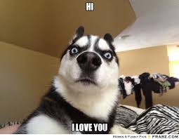 Image result for hi meme