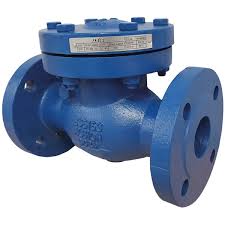 Albion Art167 PN25 Flanged Cast Iron Swing Check Valve
