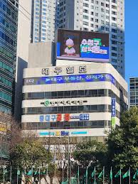 선거 운동