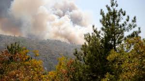 TRT Haber - News update