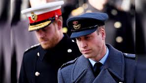 Psychic names the royal who can fix Prince William's rift with Prince Harry