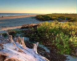 Image of Galveston Island State Park beach