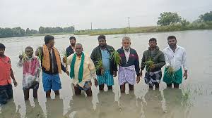 Karaikal farmers hit as 4,500 ha of samba, thaladi crop under water