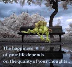 Kermit, wise words, friends, happiness, quote, fun, cool, bench ... via Relatably.com