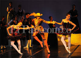 Image result for incolballet