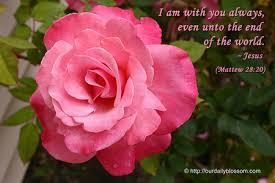 Image result for rose flowers and jesus