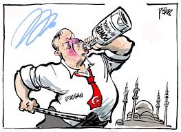 Image result for Erdogan CARTOON