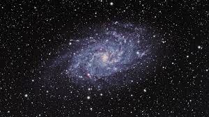 Image result for galaxy m33