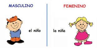 Resultado de imagen de masculino y femenino 1º primaria