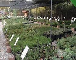 Image of Theodore Payne Foundation Nursery