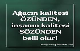 mafya sözleri ile ilgili görsel sonucu