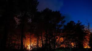 «Un incendie d’une ampleur exceptionnelle» : visualisez en carte les feux en cours dans la forêt de Fontainebleau