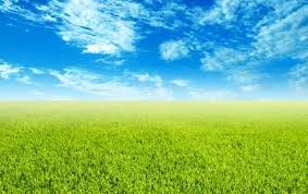 Image result for wallpaper background green blue