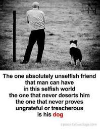 Favorite Quotes for Dog Lovers on Pinterest | Dogs, Pet Art and ... via Relatably.com