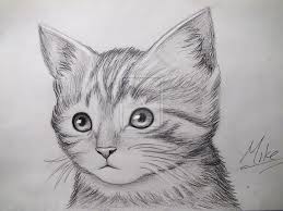 Image result for drawing