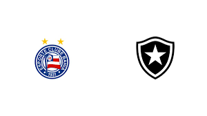 Botafogo Vs