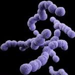  An Arizona woman diagnosed with the flu was actually infected with life-threatening flesh-eating bacteria