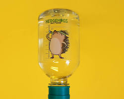 hedgehog water bottleの画像