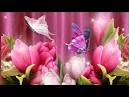 Vozes da Primavera-Andre Rieu -