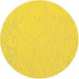 Yellow circle rug