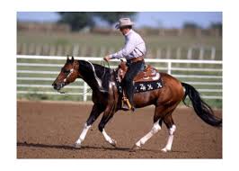 Resultado de imagen de The Big Gun