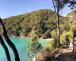 Image of Abel Tasman Coast Track, New Zealand