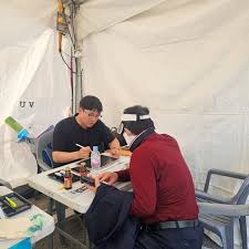 화순 봄꽃 축제 아이콘