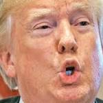 Trump look into campaign surveillance