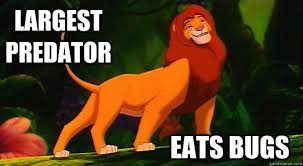 Resultado de imagen de disney memes