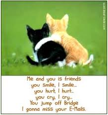 Funny Friendship Quotes And Sayings | funny quotes and sayings ... via Relatably.com