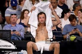 다닐 메드베데프