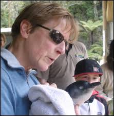 Karin Wiley of the Wellington Native Bird Rescue Trust with a little blue penguin that she nursed back to health after it was found close to death on a ... - 5009bca298a8cd2198e6