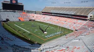 How Auburn got Argentina vs Iceland World Cup friendly to Jordan-Hare Stadium