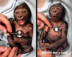 Image result for little things amuse little minds
