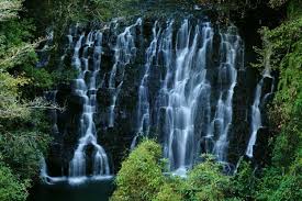 Image result for meghalaya images