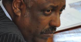 Abadula Gemeda, speaker of the House of Peoples&#39; Representatives, was on the spotlight in the past year for the very legislature he chairs has become all ... - abadula_gemeda