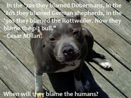 images?q=tbn:ANd9GcQrMizm3gaMUtPALkGaFqZ