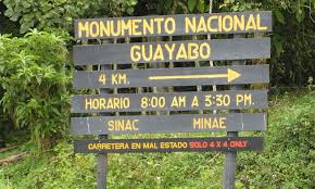 Costa Rica Unveils New Bridge & Wild Trails Beckon! What to Know - Imagen principal del artículo