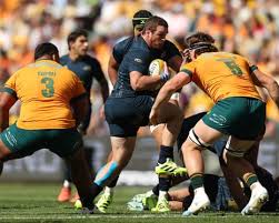Thrilling Comeback Sees Wallabies Draw with Pumas in Townsville