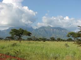 Image result for INDENTURED INDIANS IN UGANDA