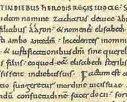 Image of Carolingian script minuscule handwriting