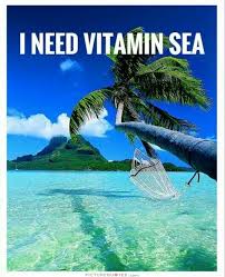 Take me to paradise | Quotes | Pinterest | Vitamins, Vitamin C and ... via Relatably.com