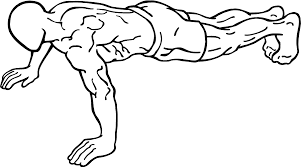 Image result for pushup