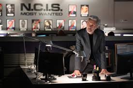 On the cusp of 500 episodes, ‘NCIS’ continues to thrive with no signs of stopping