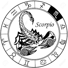 Hasil gambar untuk scorpio