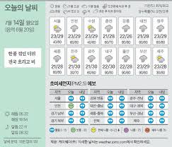 네이트 뉴스 - News update