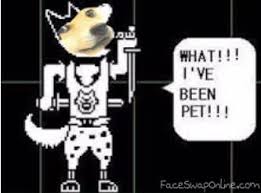 Image result for doge face swap